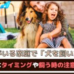 「子供がいる家庭で犬を飼いたい」最適なタイミングや飼う時の注意点は？【動物看護師が解説】