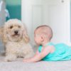 犬が子どもの情操教育に与える５つのメリットとは？