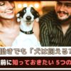 「共働きでも犬は飼える？」飼う前に知っておきたい5つのこと【動物看護師が解説】