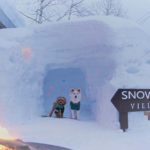 パウダースノー天国　北海道・ニセコのドッグフレンドリーコンドミニアム  「Snow Dog Vilage(スノードッグビレッジ)  ～Winter Season～