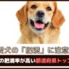 「愛犬の肥満に注意」ペットの肥満率が高い都道府県トップ10は？【動物看護師が解説】