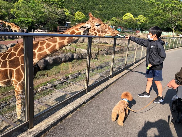 愛犬と一緒に動物園と遊園地を楽しもう 伊豆アニマルキングダムに行ってきました 体験レポート 愛犬との旅行ならイヌトミィ