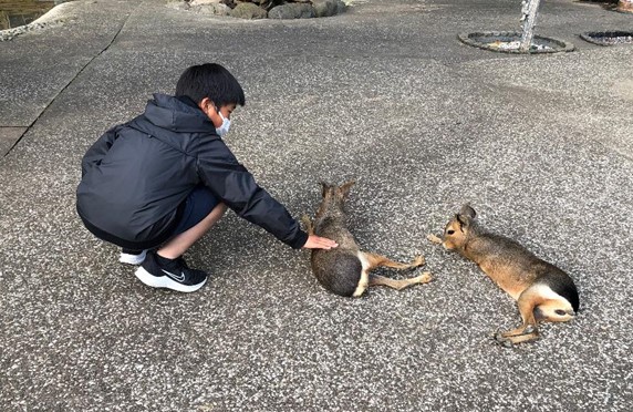 愛犬と一緒に動物園と遊園地を楽しもう 伊豆アニマルキングダムに行ってきました 体験レポート 愛犬との旅行ならイヌトミィ