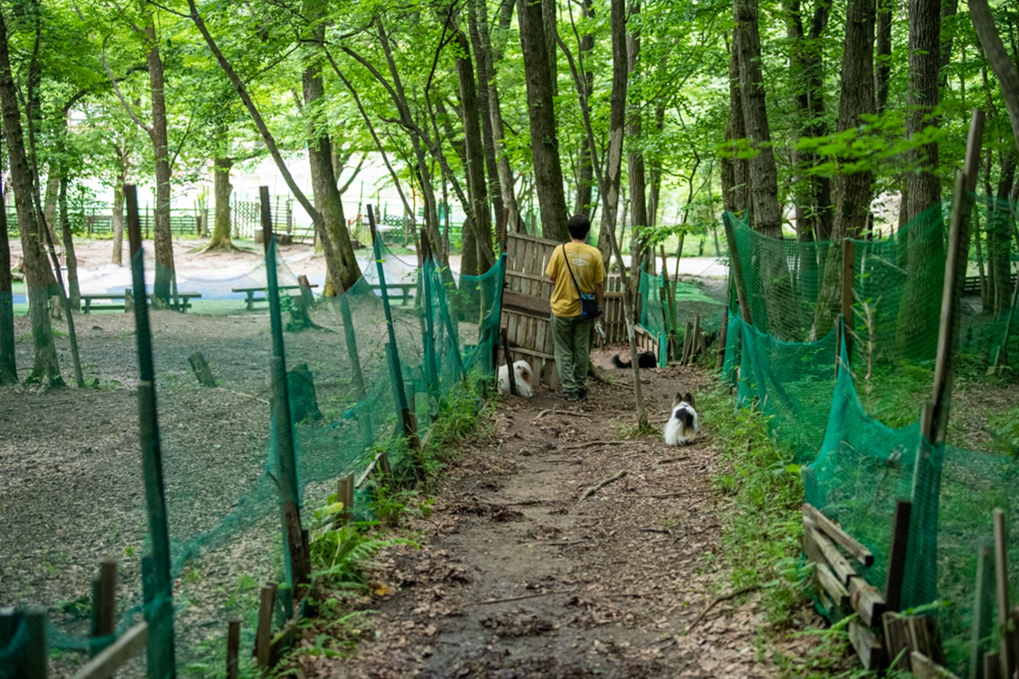 宮城県でペットと遊ぶなら 里山ドッグランサム がおすすめ ドッグラン潜入レポート 愛犬との旅行ならイヌトミィ