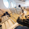 愛犬と一緒に佐渡島へ！ペット連れで「佐渡汽船 カーフェリー」に乗船する方法や注意点について