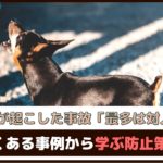 「ペットが起こした事故、最多は対人事故」よくある事例から学ぶ防止策は？【動物看護師が解説】