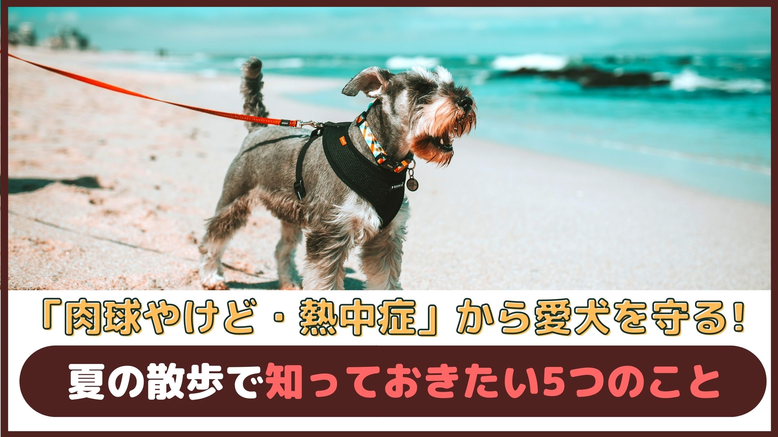 冬の乾燥肌の原因とは？