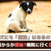 「犬にも便秘はあるの？」何日目からが便秘？病院に行く目安は？