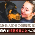 「正しく理解、予防しよう」犬から人にうつる病気5つ、家庭内で注意することもご紹介