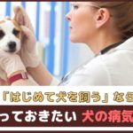 はじめて犬を飼うなら「知っておきたい犬の病気6つ」