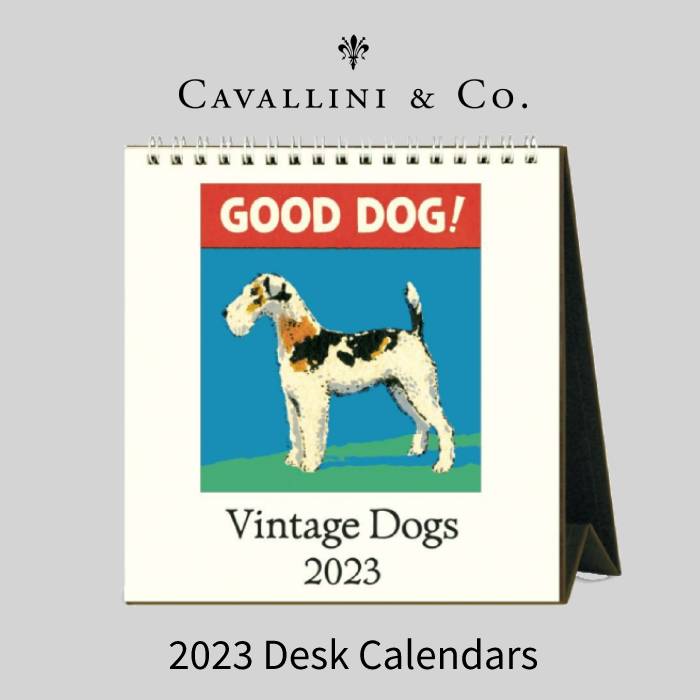 2023年犬カレンダーはこれ！可愛いワンコの壁掛け・卓上・日めくり人気カレンダーをご紹介！ - 愛犬との旅行ならイヌトミィ