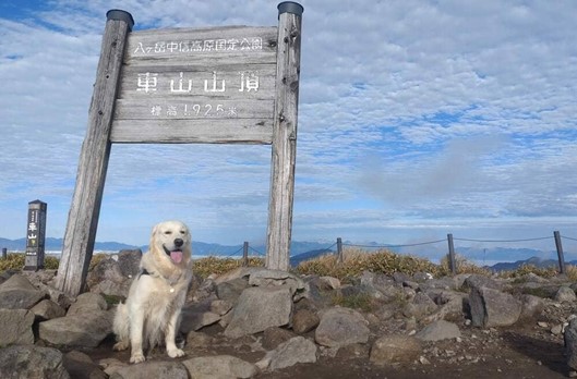 愛犬と車山高原ハイキング！日本アルプス360度パノラマ大絶景の旅＜長野県諏訪市・茅野市＞