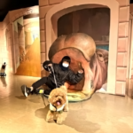 わんこと楽しめる美術館！？愛犬と一緒に「トリックアートミュージアム軽井沢」に行ってみた！