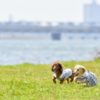 愛犬とイベントを満喫しよう！続々更新中の2023年春おすすめペットイベント5選＜関東＞