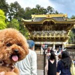 【栃木県・日光東照宮】へ愛犬と行ってみた！ペットOKの世界遺産を詳しくレポート♪