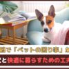 「コロナ禍でペットの困り事が増加?!」愛犬と快適に暮らすための工夫は？