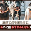 初めて犬を飼う方におすすめの犬種・おすすめしない犬種は？