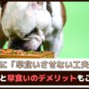 「愛犬に早食いさせない工夫は？」対策と早食いのデメリットもご紹介