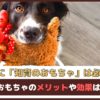 「犬に知育のおもちゃは必要？」知育のおもちゃのメリットや効果はあるの？