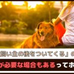 「愛犬が飼い主の後をついてくるのはなぜ？」注意が必要な場合もあるってホント？