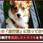 「愛犬との旅行前に知っておきたい！」 愛犬との旅行で遭遇したトラブルとその対処法