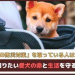 「ペットの防災対策を取っている人は減少傾向」 今こそ知りたい愛犬の命と生活を守る行動は？