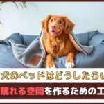 「シニア犬のベッドはどうしたらいいの？」快適に眠れる空間を作るための工夫は？