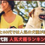 「20代と60代では人気の犬種が違う?!」年代別人気犬種ランキング