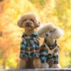 【2023年度版】愛犬と一緒に秋イベントを満喫しよう！関東近郊で秋に開催するイベント7選！