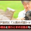 「シニア世代に人気の犬種トップ5」人気の理由と飼うときの注意点もご紹介