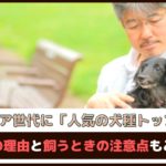 「シニア世代に人気の犬種トップ5」人気の理由と飼うときの注意点もご紹介