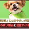 「歯周病になりやすい犬種は？」 なりやすい理由と注意すべきこと