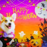 【2023年度版】関西近郊で愛犬と楽しめるハロウィンペットイベント５選！