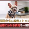 「犬の通院回数が多い病気トップ5は？」 通院や治療にかかる費用も一緒にご紹介