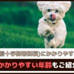 「膝の病気(前十字靭帯断裂)にかかりやすい犬種は？」 かかりやすい年齢もご紹介