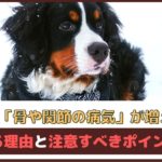 「冬は骨や関節の病気が増える？！」増える理由と注意すべきポイントは？