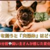 「ペットを飼うと夫婦仲はどうなる？」お世話の分担や飼い主さんが感じた変化をご紹介