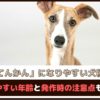 「てんかんになりやすい犬種は？」てんかんになりやすい年齢と発作時の注意点もご紹介