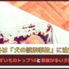 「冬は犬の誤飲事故に注意」誤飲しやすいものトップ10と誤飲事故が多い犬種もご紹介