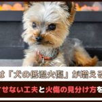 「冬は犬の低温火傷が増える季節」火傷させない工夫と火傷の見分け方をご紹介