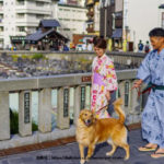 【草津温泉】愛犬と泊まれる草津のペット同伴可ホテル・旅館・コテージおすすめ５選！