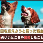 「2頭目を迎えようと思った理由は？」 多頭飼いのいいところや苦労したことをご紹介