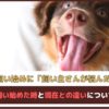 「ペットを飼い始めて飼い主さんが悩んだことは？」 ペットを飼い始めた時と現在との違いについてもご紹介