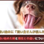 「ペットを飼い始めて飼い主さんが悩んだことは？」 ペットを飼い始めた時と現在との違いについてもご紹介