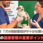 獣医師の9割 「犬の健康管理が不十分な飼い主多い」と回答、愛犬の健康管理の重要ポイントは？