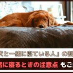 「愛犬と一緒に寝ている人の割合は？」一緒に寝るときの注意点もご紹介