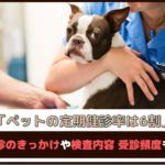 「ペットの定期健診率は6割」 愛犬の定期健診のきっかけや検査内容、受診頻度もご紹介