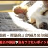 「胃炎・胃腸炎が増える年齢？」 犬の胃腸炎の原因や気をつけたいポイントを解説