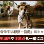 「犬に起きやすい事故・怪我のトップ10は？」発生場所や注意点も一緒にご紹介