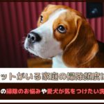 「ペットがいる家庭の掃除頻度は？」飼い主さんが抱える掃除のお悩みや愛犬が気をつけたい洗剤もご紹介